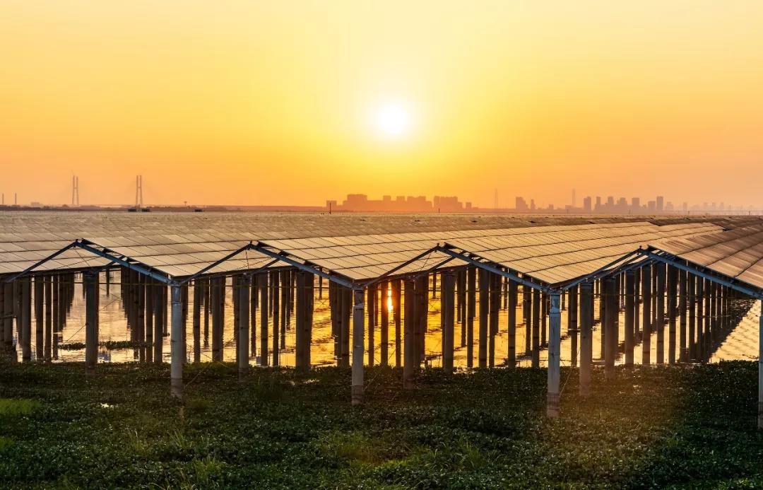 Beyond Success - www.EVO视讯.com Achieved a Preferred Scale of 1120 MW in Jiangxi